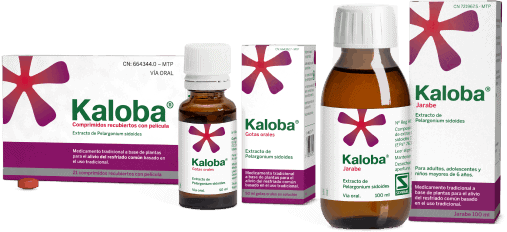 KALOBA COMPRIMIDOS Y GOTAS ORALES