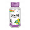 SOLARAY TRIBULUS SAN PEDRO ALCANTARA
