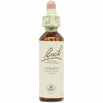 BACH HONEYSUCKLE Nº16 20 ML