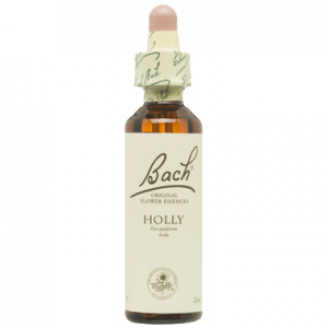 BACH HOLLY SAN PEDRO ALCANTARA