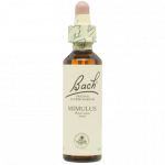 BACH WATER VIOLET Nº34 20 ML