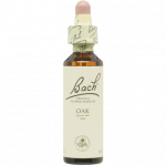 RENE FURTERER STYLE SPRAY TERMOPROTECTOR 150 ML