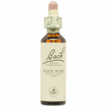 BACH WATER VIOLET Nº34 20 ML