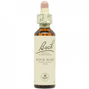 BACH ROCK ROSE SAN PEDRO ALCANTARA