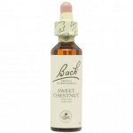 BACH WATER VIOLET Nº34 20 ML