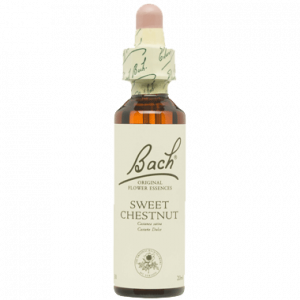 BACH SWEET CHESTNUT SAN PEDRO ALCANTARA