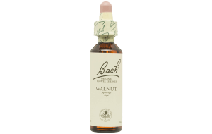 BACH WALNUT SAN PEDRO ALCANTARA