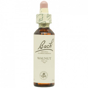 BACH WALNUT SAN PEDRO ALCANTARA