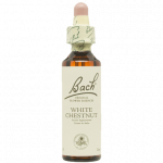 HANSAPLAST AQUA PROTECT SURTIDO 20 UNID. HANSAPLAST AQUA PROTECT SURTIDO 20 UNID.