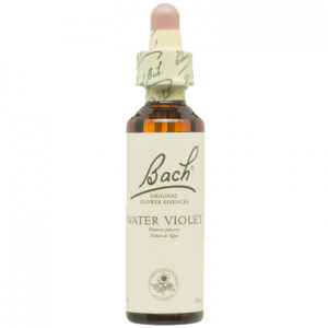 BACH WATER VIOLET SAN PEDRO ALCANTARA