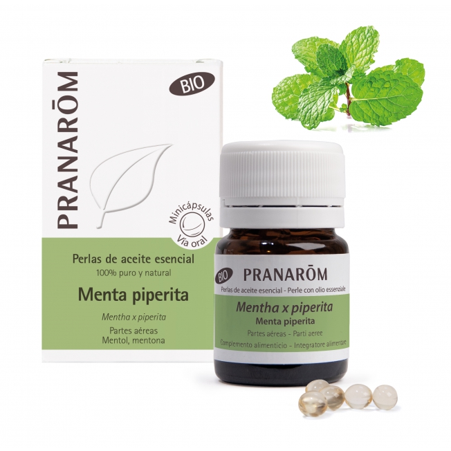 pranarom menta perlas san pedro alcantara pranarom menta perlas san pedro alcantara