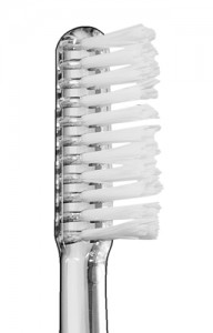 vitis sulcular san pedro alcantara